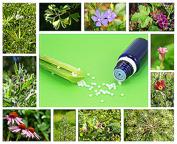 Homöopathie - Pflanzen mit Globuli Pflanzen mit Globuli